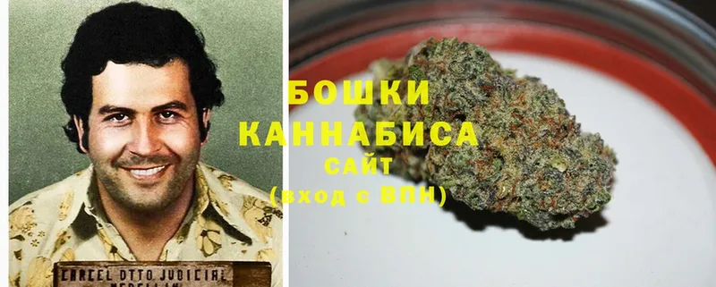 МАРИХУАНА SATIVA & INDICA  купить наркотики цена  Шадринск 